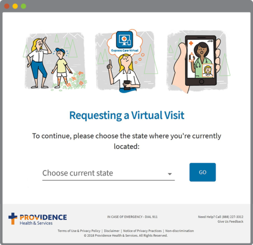 Virtual Visit in use